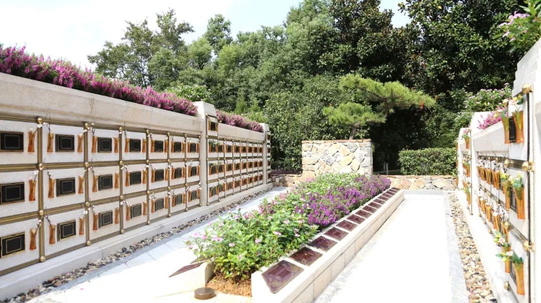 在合肥大蜀山文化陵园，与生命温柔对话
