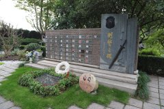 致敬“平安卫士”，铭记“刑警之魂”